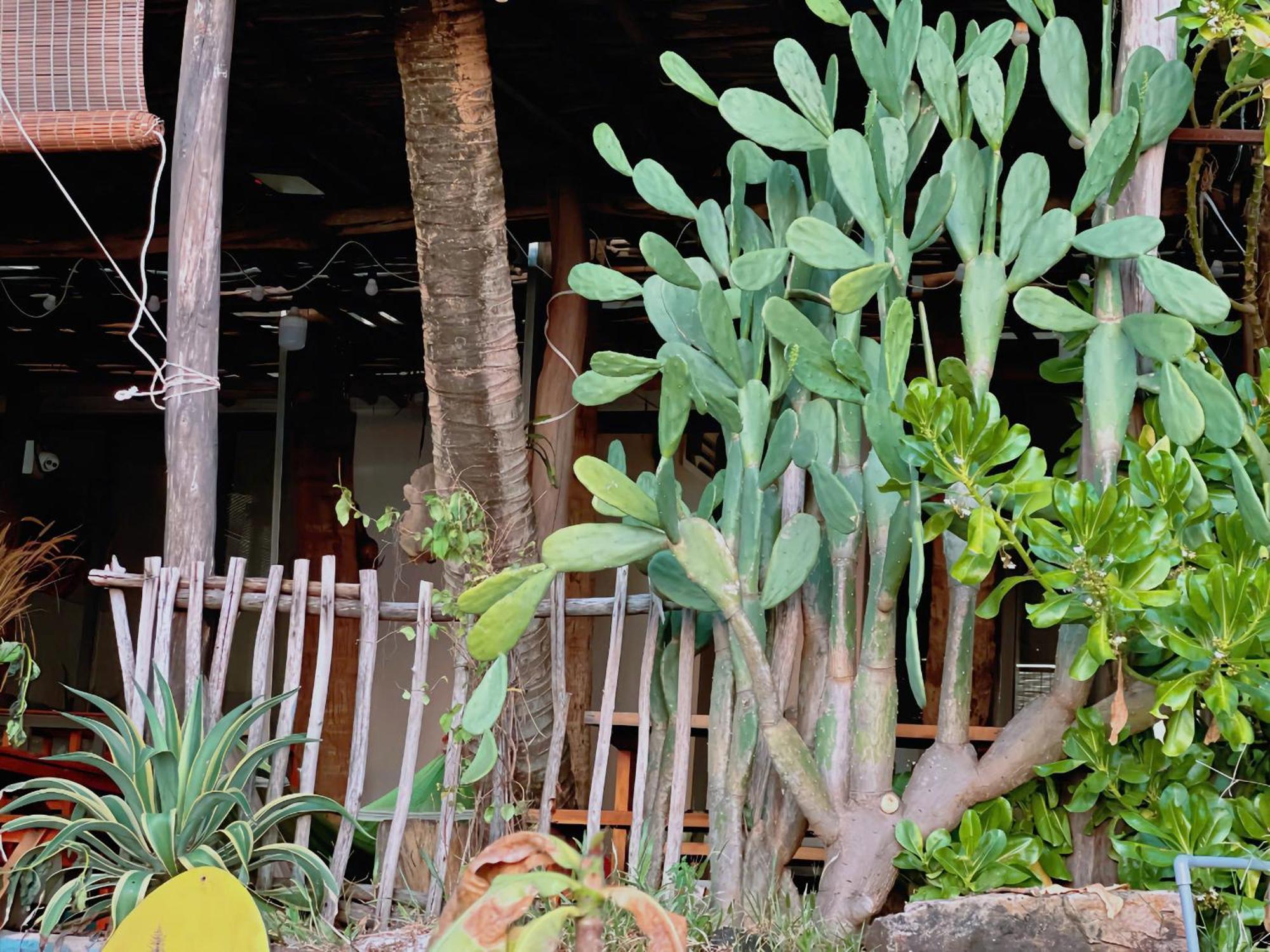 Apartmán Soho 1 Phu Quoc Exteriér fotografie
